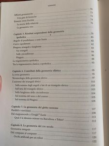 Quando Le Rette Diventano Curve. Le Geometrie Non Euclidee