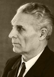 Михаил Иванович Черныш