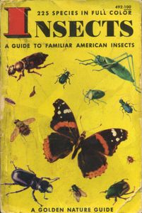 Insects