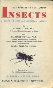 Insects