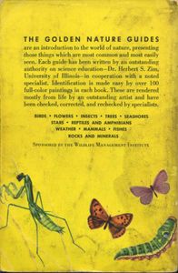 Insects