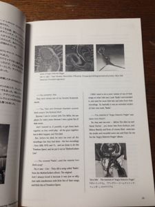 -into mystique magazine-  FEECO  Vol.1 INTERVIEW ISSUE