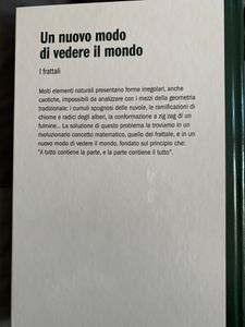 Un Nuovo Modo Di Vedere Il Mondo. I Frattali