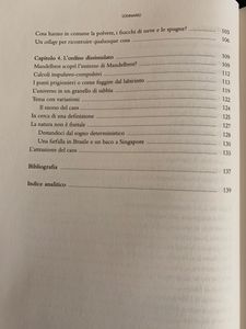 Un Nuovo Modo Di Vedere Il Mondo. I Frattali