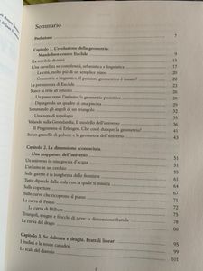 Un Nuovo Modo Di Vedere Il Mondo. I Frattali
