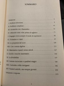 Gli Enigmi Di Mosca. Il Grande Classico Con I 359 Giochi Matematici Più Belli Del Mondo