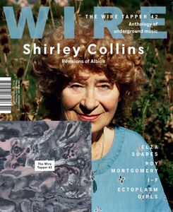 The Wire issue #393