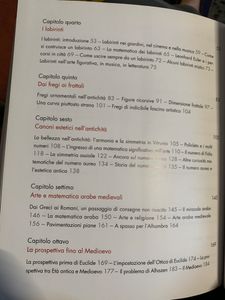 Arte E Matematica, Metafore, Analogie, Rappresentazioni, Identità Tra Due Mondi Possibili