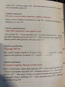Arte E Matematica, Metafore, Analogie, Rappresentazioni, Identità Tra Due Mondi Possibili