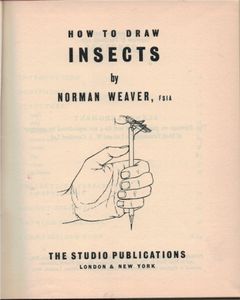 How to Draw Insects