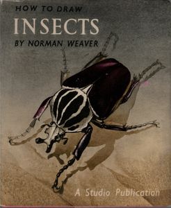 How to Draw Insects