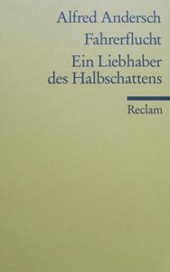 Fahrerflucht. Ein Liebhaber des Halbschattens