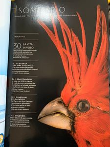 National Geographic Italia (2018-01)