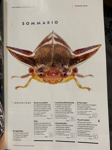 National Geographic Italia (2019-03)