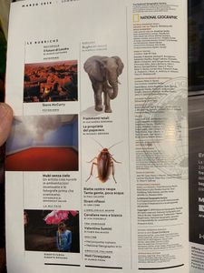 National Geographic Italia (2019-03)