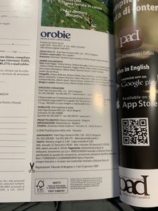 Orobie (n. 310)