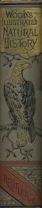 Wood's Illustrated Natural History