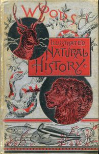 Wood's Illustrated Natural History