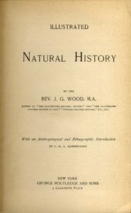 Wood's Illustrated Natural History