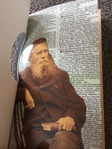 The Surgeon of Crowthorne: A Tale of Murder, Madness, and the Oxford English Dictionary