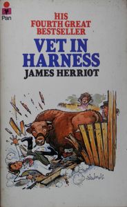 Vet in Harness