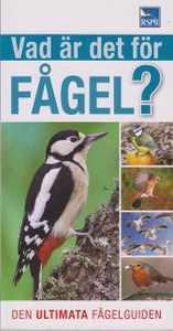 Vad Är Det För Fågel?- Den Ultimata Fågelguiden