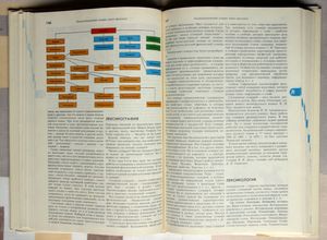 Энциклопедический словарь юного филолога