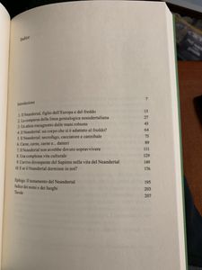 Mio Caro Neandertal. Trecentomila Anni Di Storia Dei Nostri Fratelli
