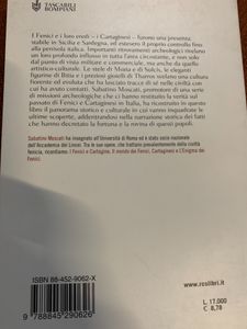 L'Italia punica