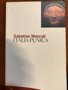 L'Italia punica