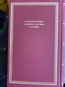 I grandi filosofi - Nietzsche I