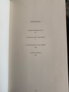 I grandi filosofi - Nietzsche I