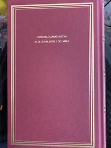 I grandi filosofi - Nietzsche II