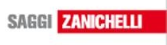 Saggi (Zanichelli)