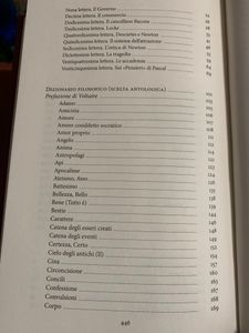 I grandi filosofi - Voltaire I