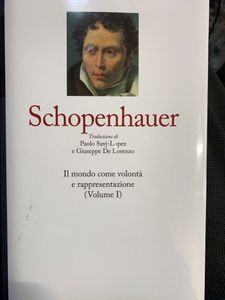 I grandi filosofi - Schopenhauer I