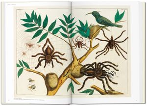 Cabinet of Natural Curiosities - The Complete Plates in Colour 1734 - 1765
