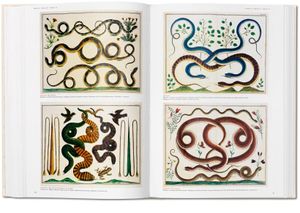 Cabinet of Natural Curiosities - The Complete Plates in Colour 1734 - 1765