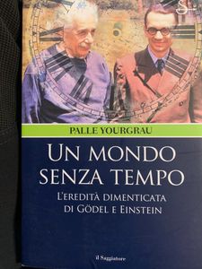 Un mondo senza tempo. L'eredità dimenticata di Gödel e Einstein