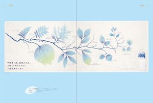 Relaxing Graphics: Warm, Calm, Exhilarating