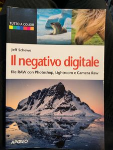 Il negativo digitale. File RAW con Photoshop, Lightroom e Camera Raw