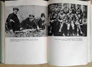 Партизаны Вилейщины