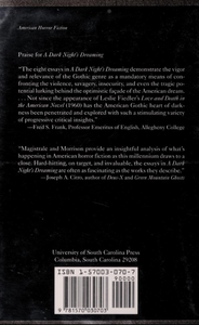 A Dark Night's Dreaming: Contemporary American Horror Fiction