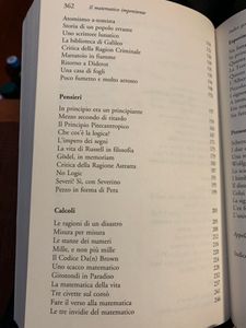 Il matematico impenitente