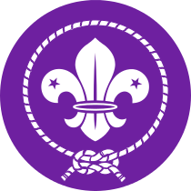 Boy Scouts