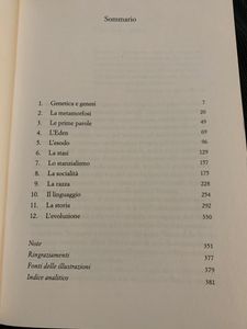 All'alba dell'uomo. Viaggio nelle origini della nostra specie