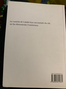 La forma dello spazio profondo. La teoria delle stringhe e la geometria delle dimensioni nascoste dell'Universo
