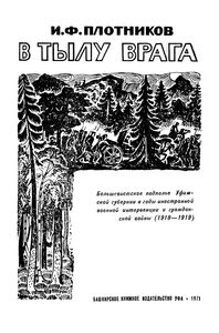 В Тылу Врага