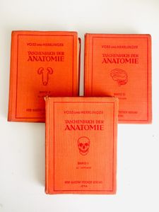 Taschenbuch der Anatomie