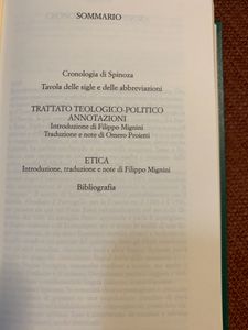 Spinoza
